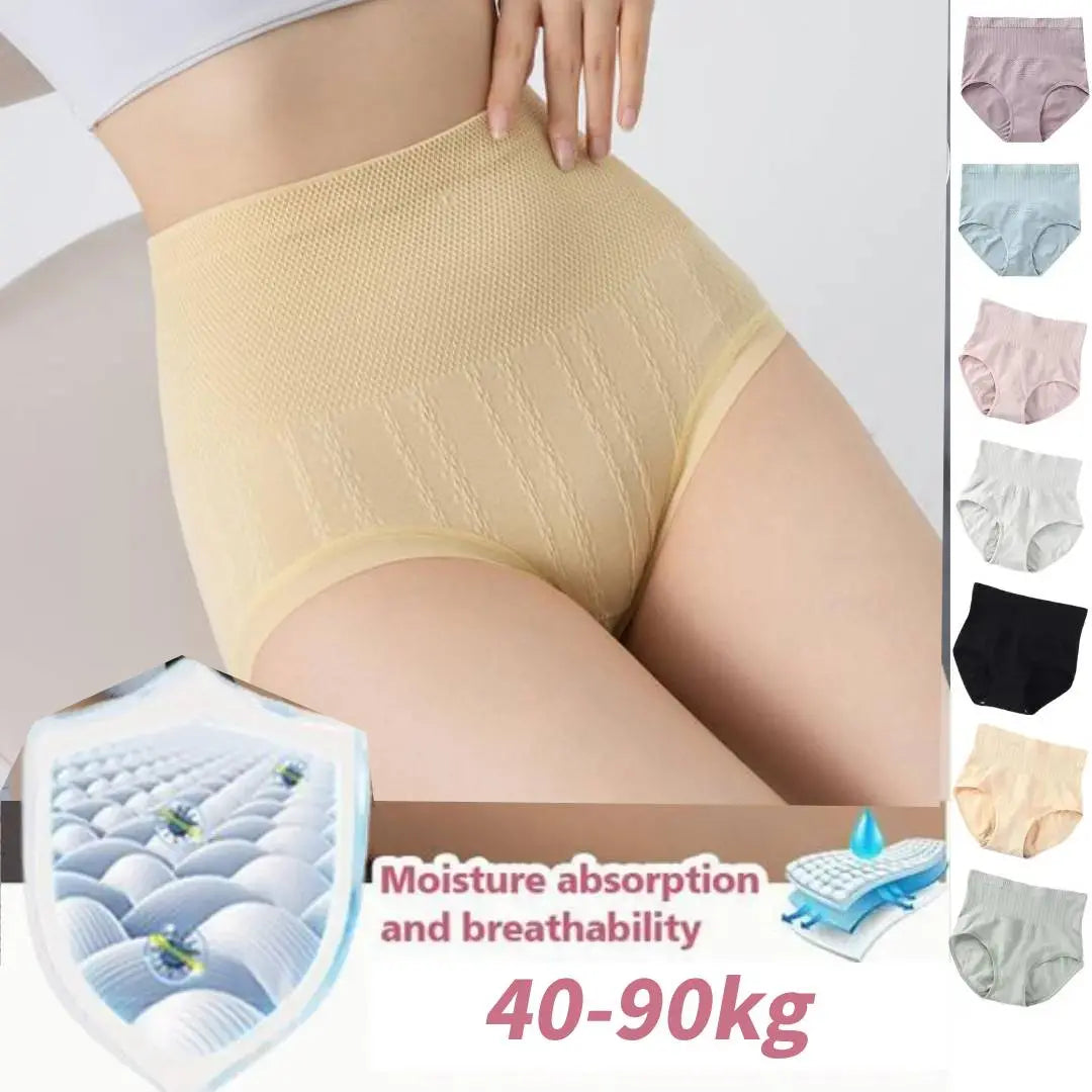Sanivelle | High Waist Control Briefs